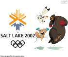 Олимпийские игры в Солт-Лейк-Сити 2002
